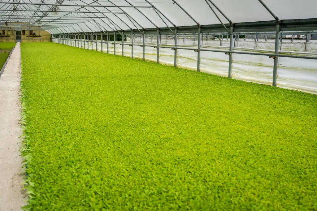 盐城生态种植技术发展趋势与智慧农业应用前景分析