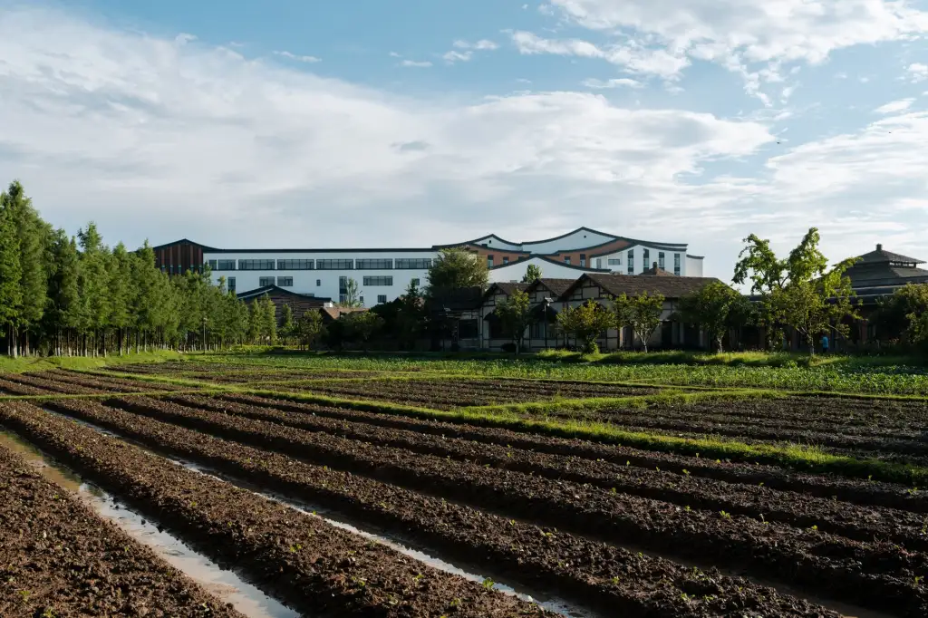 盐城生态种植技术推广路径与农产品品质提升策略分析正文配图 1