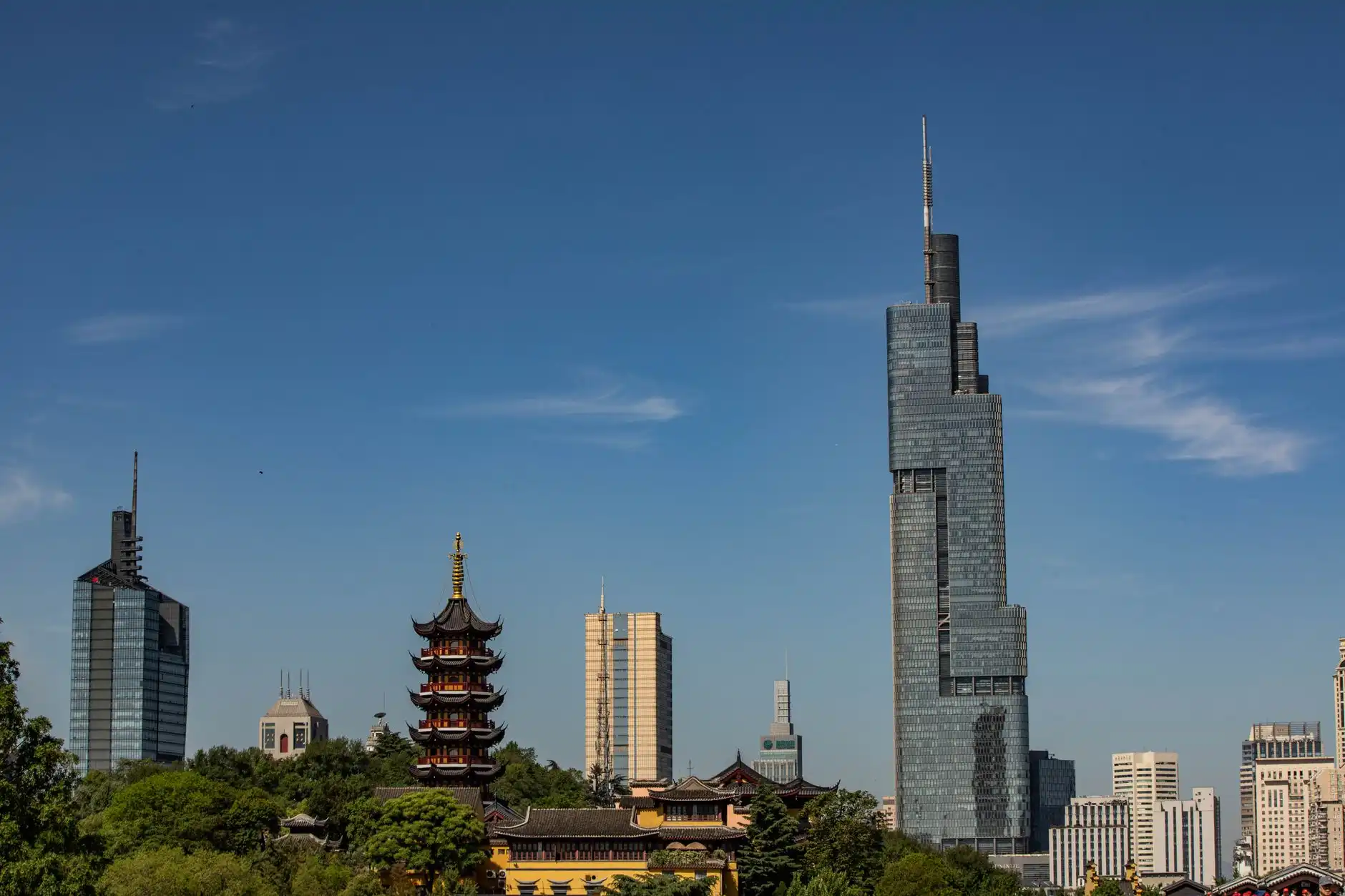农业科技公司生态种植方案落地要点：以盐城丹顶鹤农业为例的实践分析