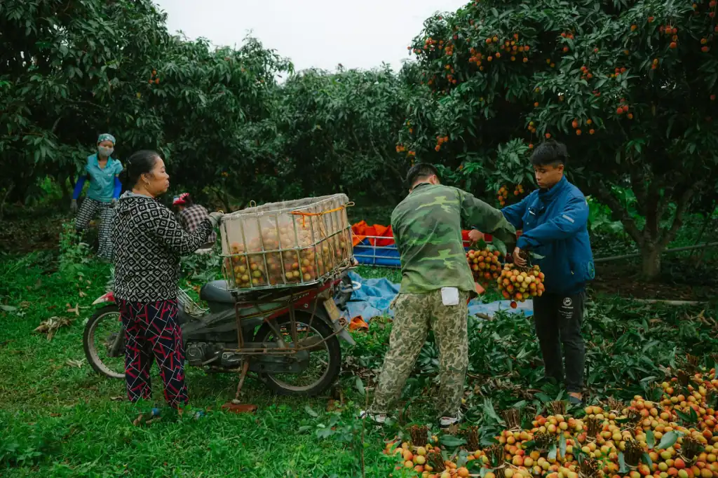 农业科技在特色农产品种植中的实践应用与效益分析