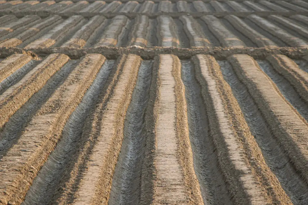 盐城丹顶鹤农业科技生态种植方案在不同土壤条件下的应用效果分析正文配图 1