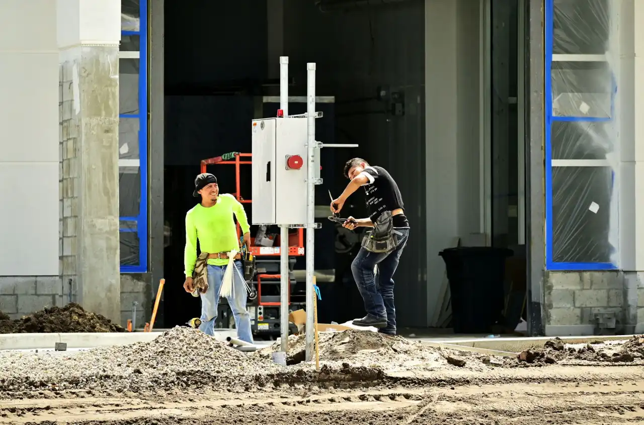 盐城农业科技新动态：丹顶鹤生态种植模式助力农户增产增收
