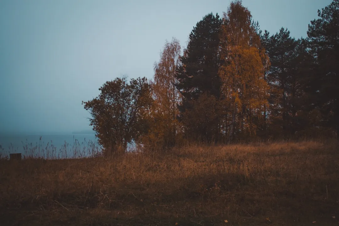 盐城地区生态种植技术对比：丹顶鹤农业科技服务优势分析