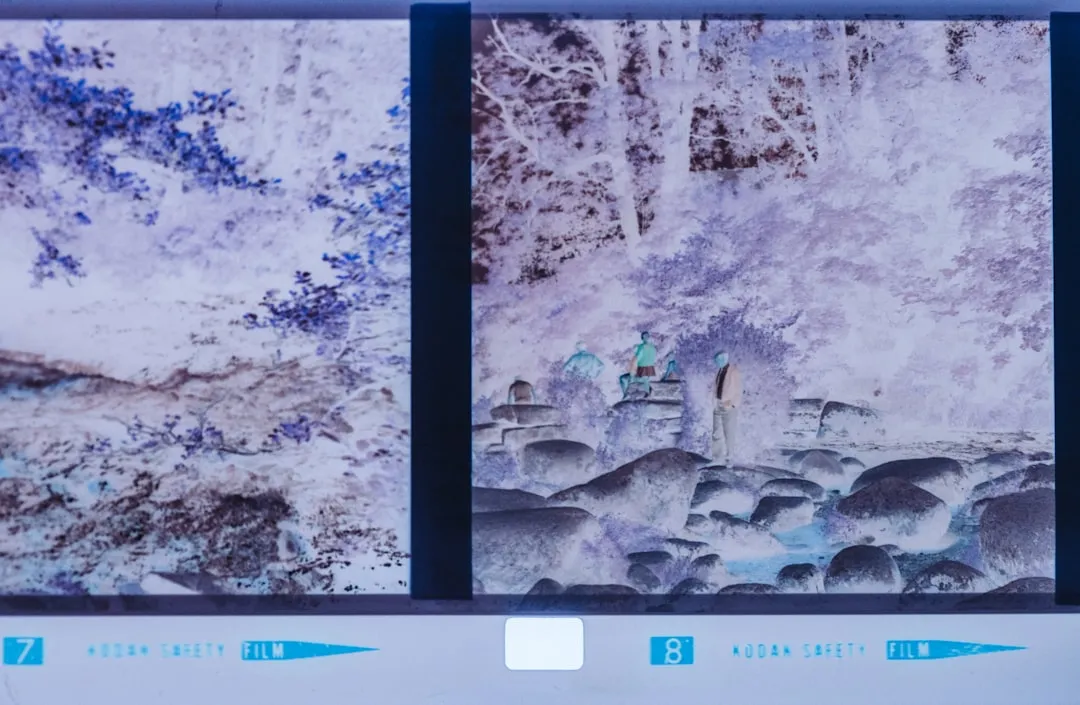 盐城生态种植技术要点及农产品品质提升实践