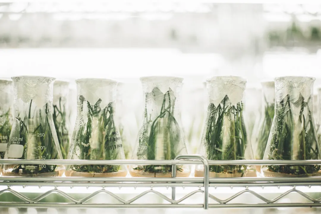 农业科技赋能种植升级：盐城特色农产品生态种植方案解析