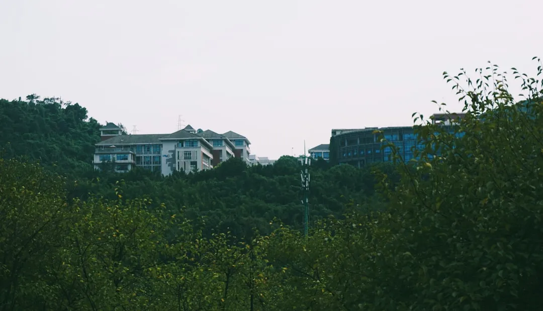 盐城丹顶鹤农业科技生态种植技术体系在特色农产品中的应用